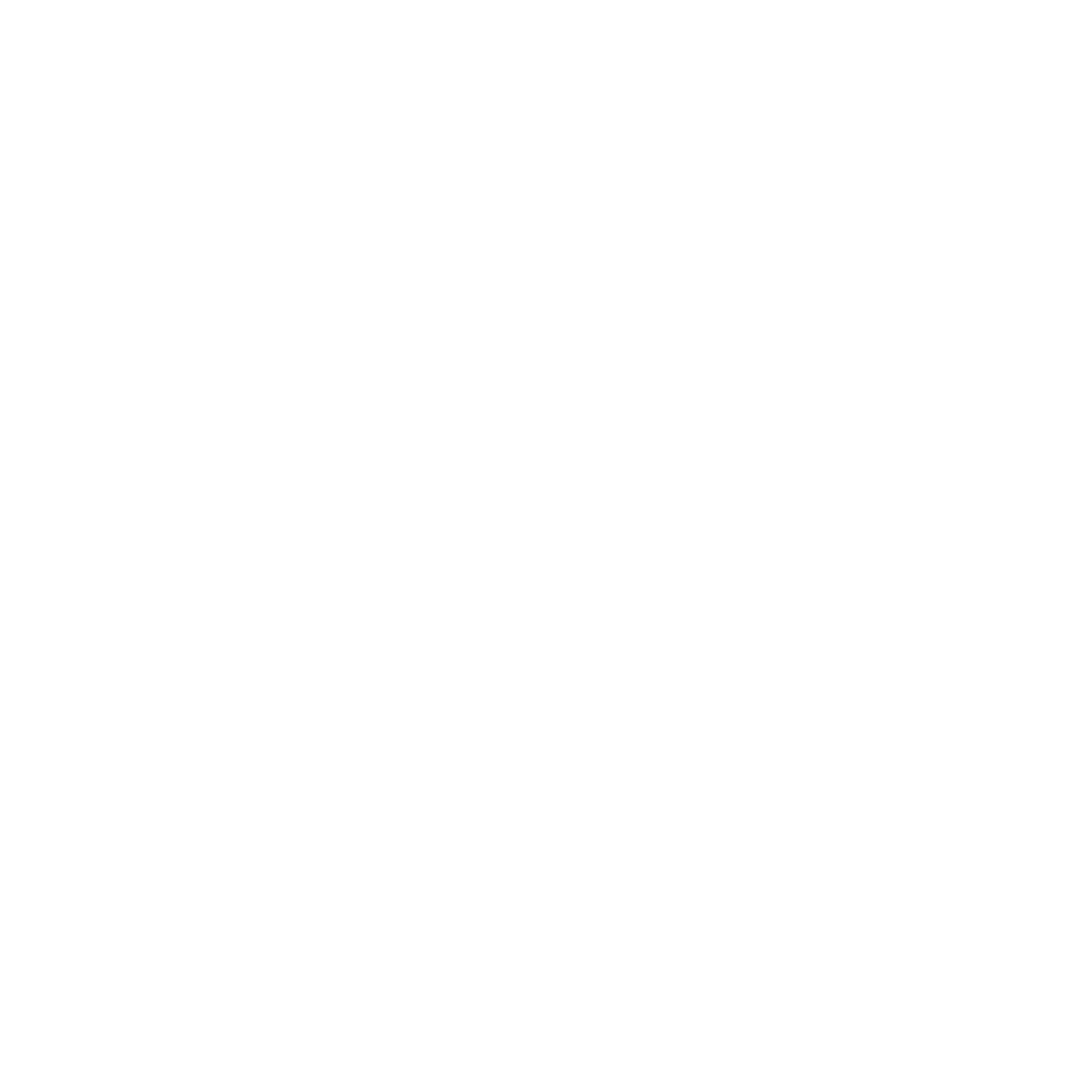 Project Vice
